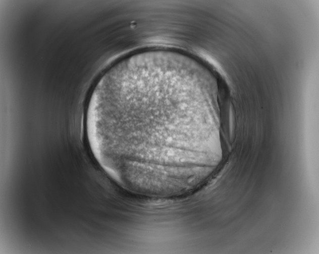 X0000088041323200706081601