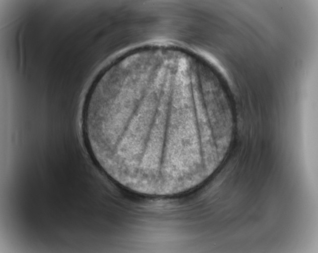 X0000088041327200706081601