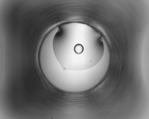 X0000088041328200706081601