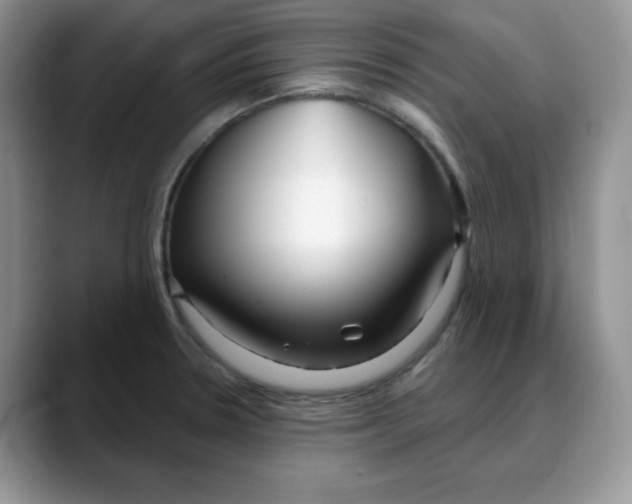 X0000088041330200706081601