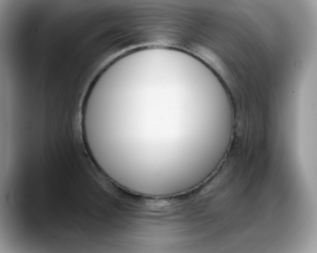 X0000088041332200706081601