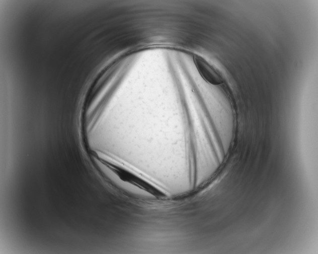 X0000088041333200706081601