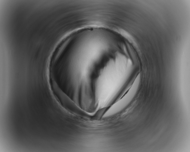 X0000088041334200706081601