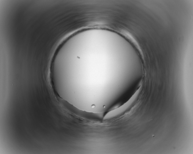 X0000088041336200706081601