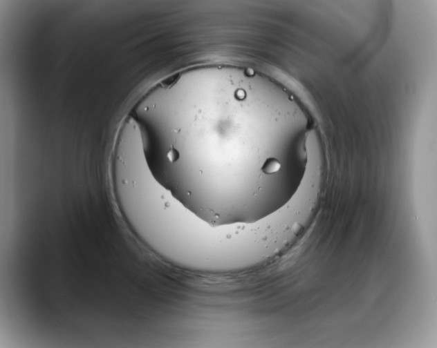 X0000088041338200706081602