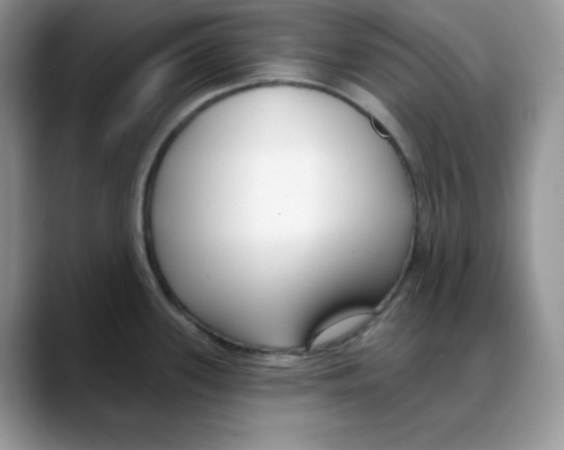 X0000088041339200706081602