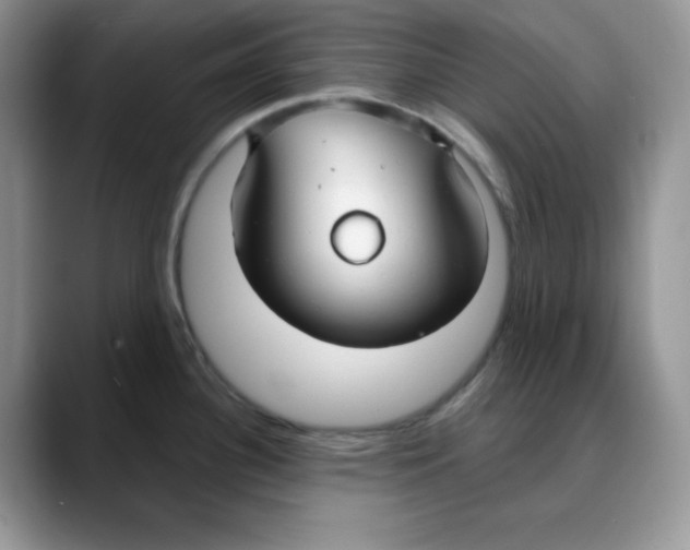 X0000088041340200706081602