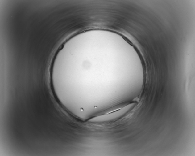 X0000088041341200706081602