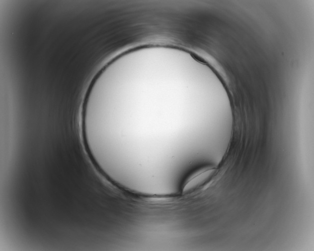 X0000088041343200706081602