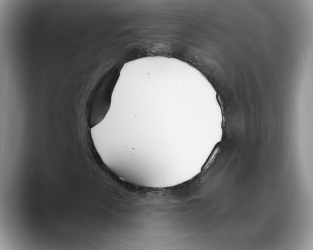 X0000088041345200706081601