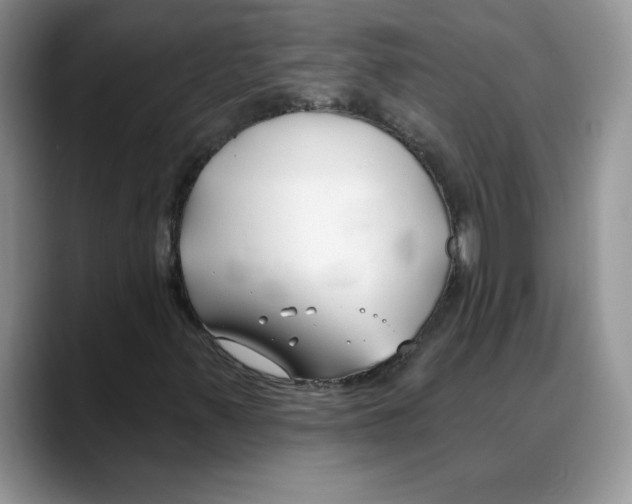 X0000088041347200706081601