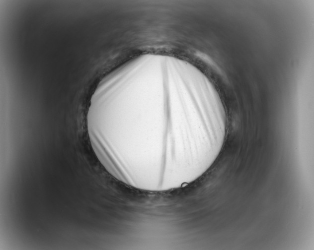 X0000088041350200706081601