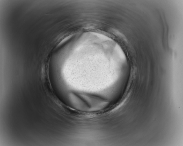 X0000088041353200706081601