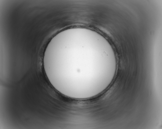 X0000088041355200706081601