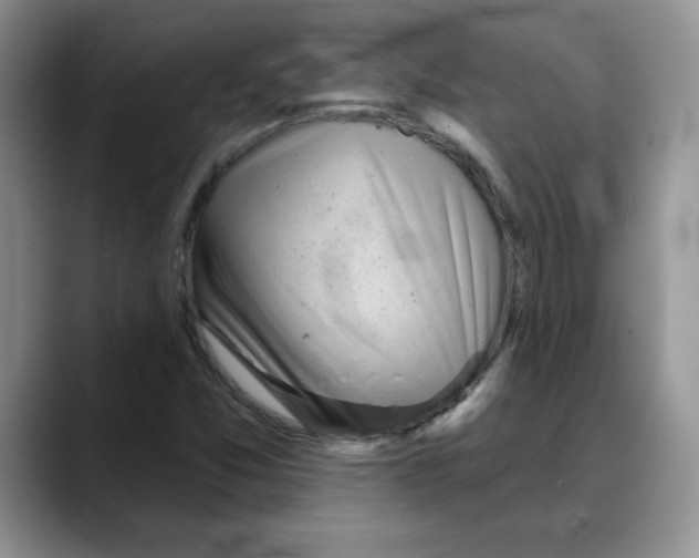 X0000088041357200706081601