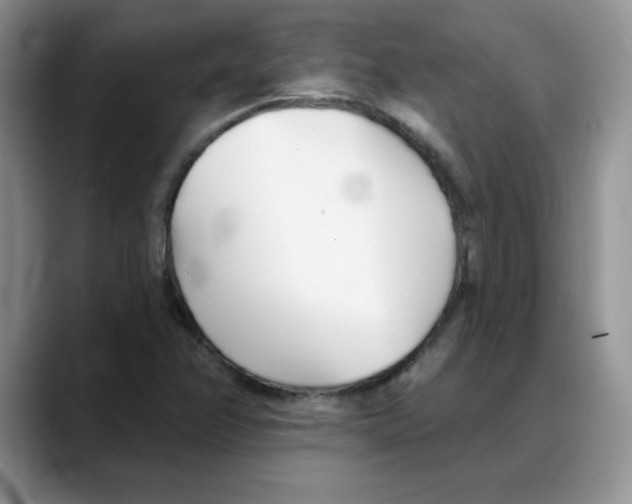 X0000088041358200706081601