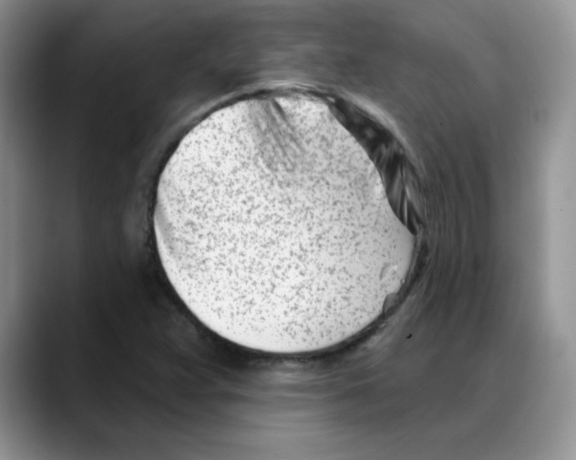 X0000088041359200706081601