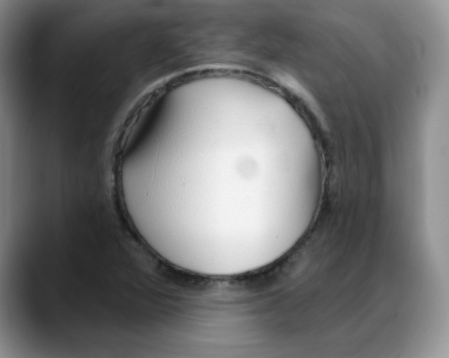 X0000088041360200706081601