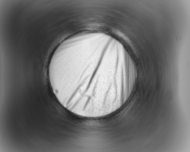 X0000088041362200706081601