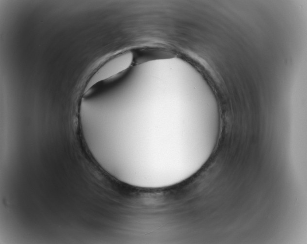 X0000088041363200706081601