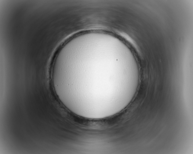 X0000088041364200706081601