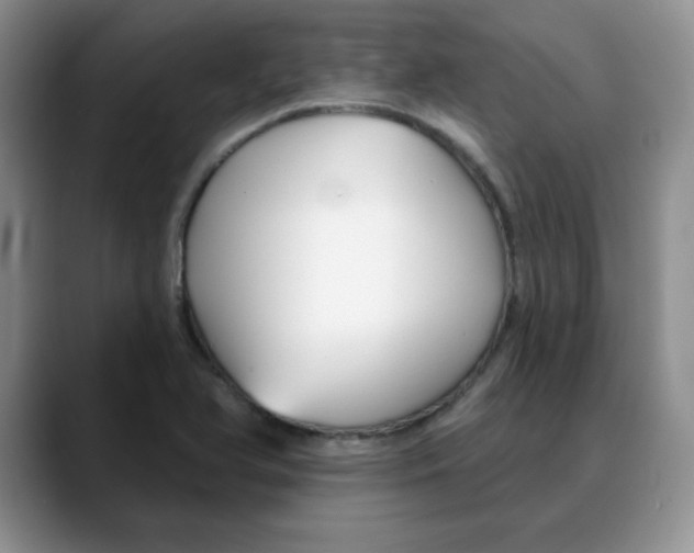 X0000088041366200706081601