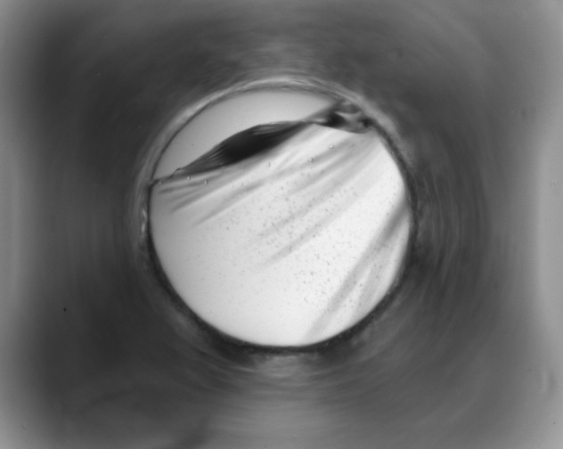 X0000088041367200706081601