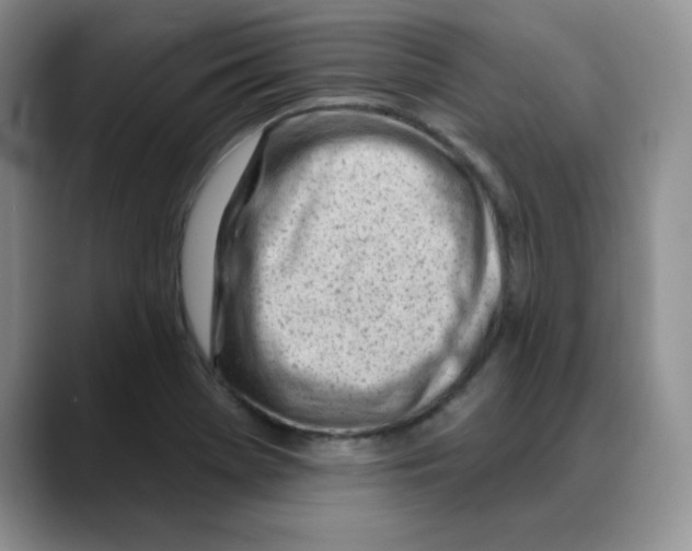 X0000088041369200706081601