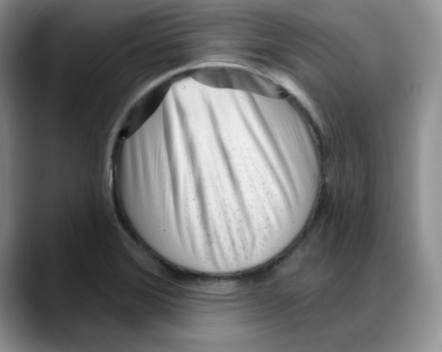 X0000088041372200706081601