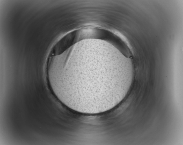 X0000088041373200706081601