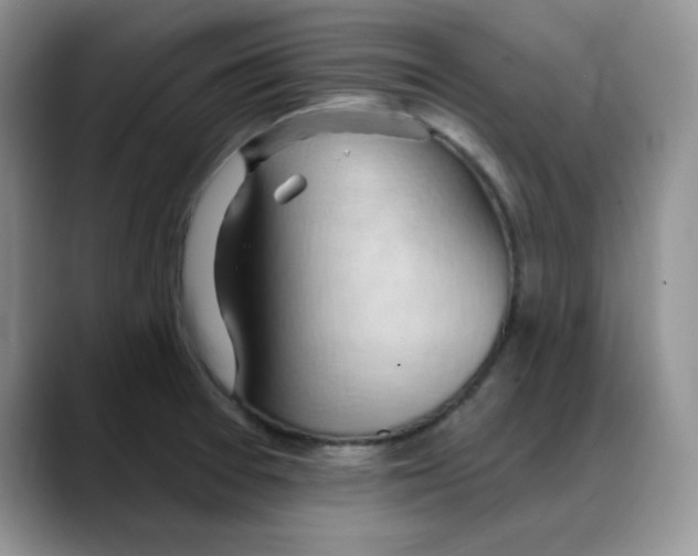 X0000088041377200706081601