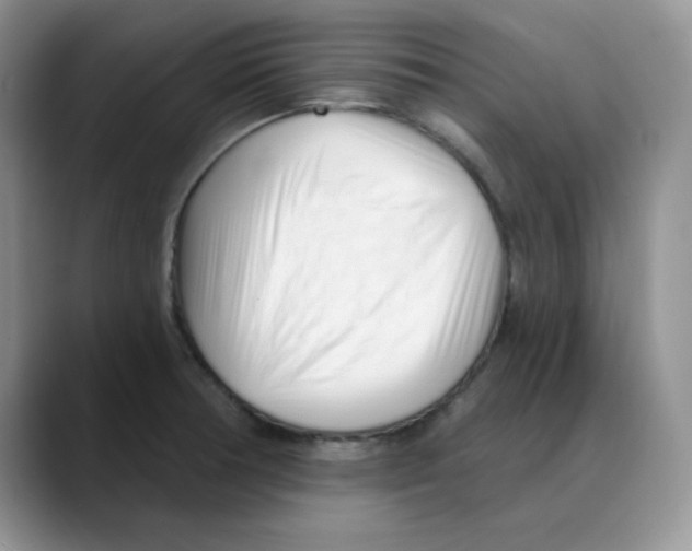 X0000088041378200706081601