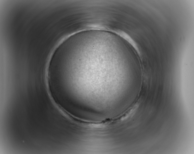 X0000088041381200706081600