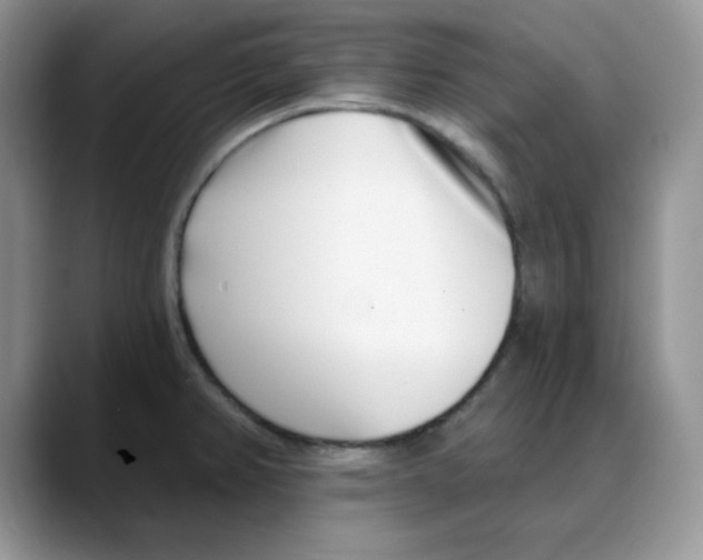 X0000088041382200706081600