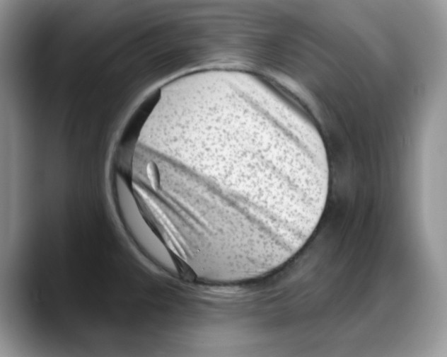 X0000088041383200706081600