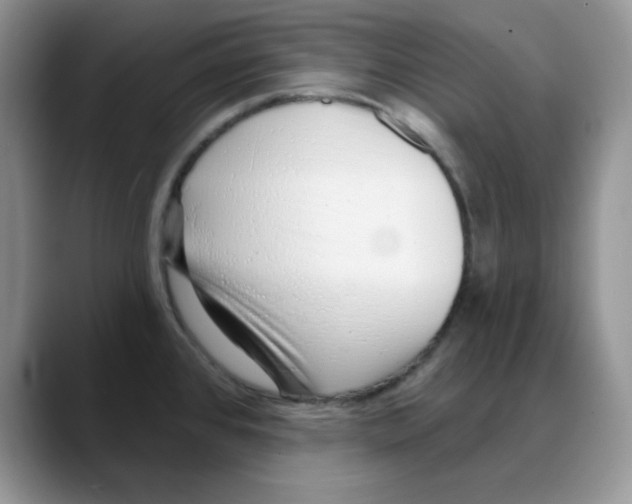 X0000088041384200706081600