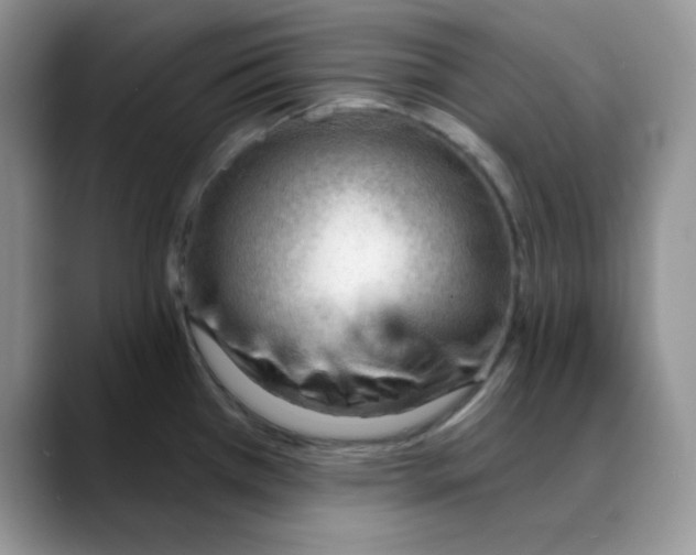 X0000088041385200706081600