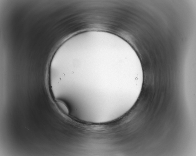 X0000088041387200706081600