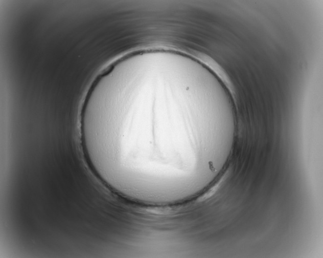 X0000088041388200706081600