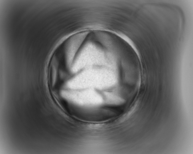 X0000088041389200706081600