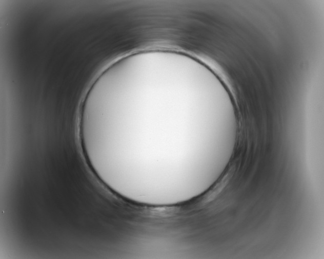 X0000088041390200706081600