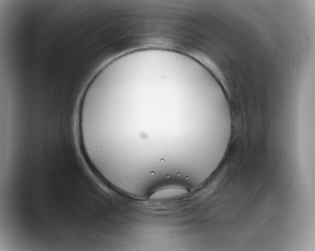 X0000088041391200706081600