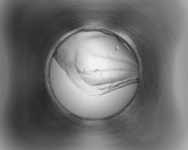 X0000088041392200706081600