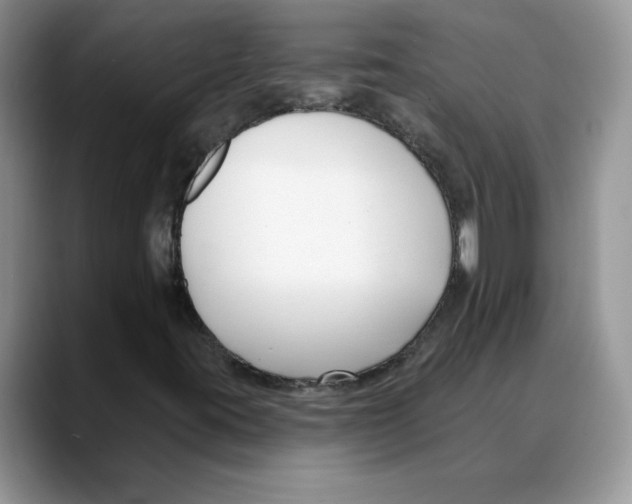 X0000088041395200706081600