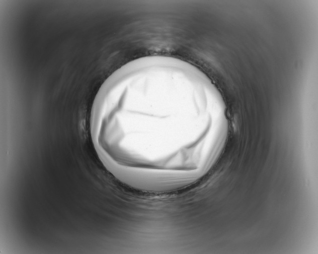 X0000088041396200706081600