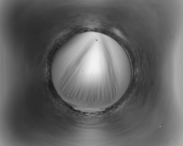 X0000088041398200706081600