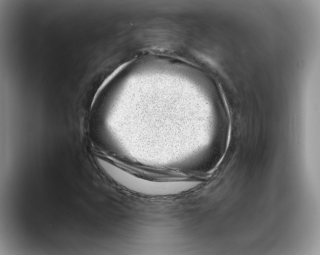 X0000088041399200706081600