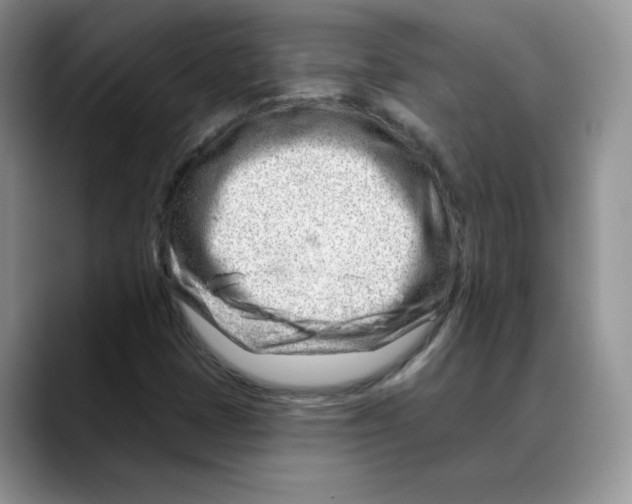 X0000088041401200706081600