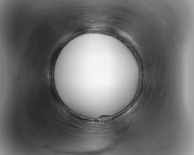 X0000088041403200706081600