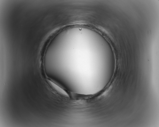 X0000088041406200706081600